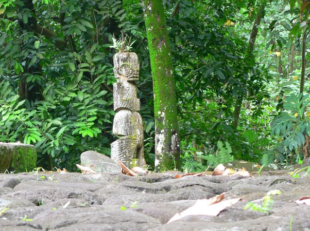 51- Un tiki de bois 